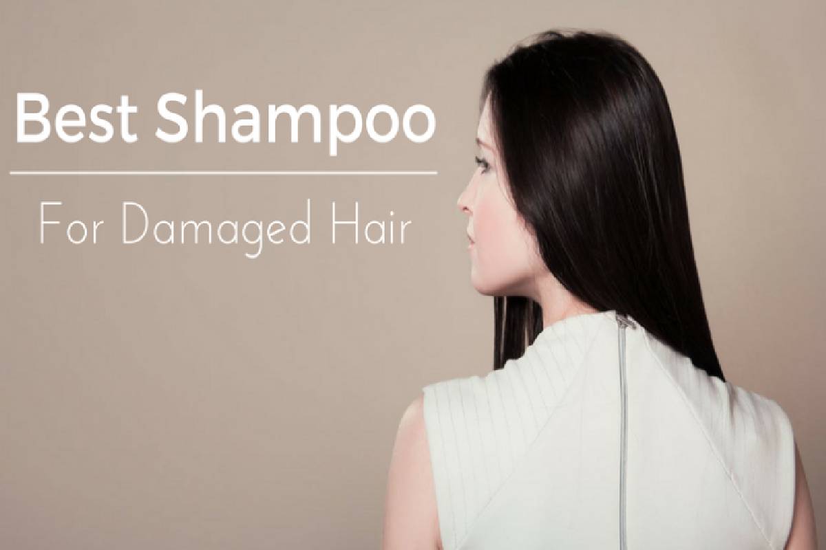  Best Shampoo for Damaged Hair – Remedy for Damaged Hair, and More