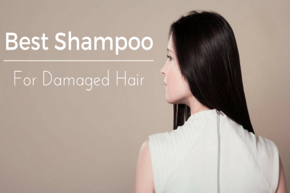 Best Shampoo for Damaged Hair – Remedy for Damaged Hair, and More