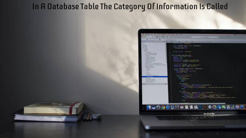 In A Database Table The Category Of Information Is Called