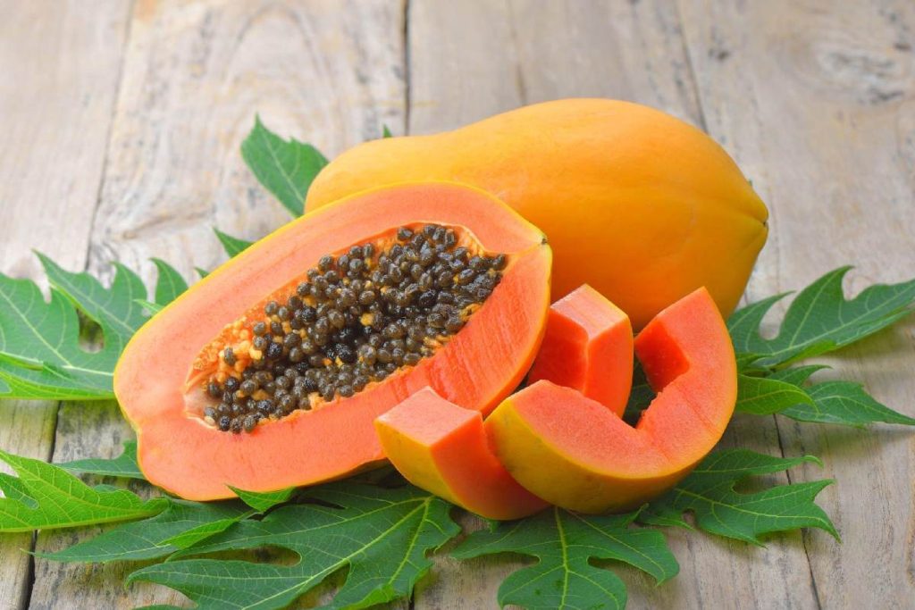 Prevention and Food Items to Help Recover from Dengue Faster