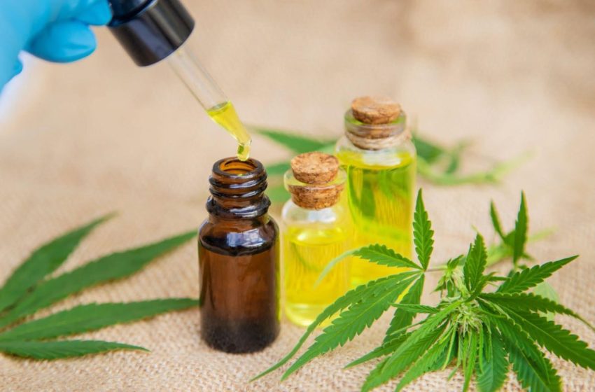 Using CBD Edibles for Insomnia: How It Can Help To Sleep Better?