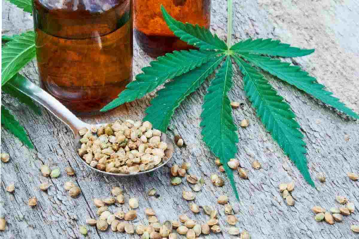 Things You Should Know Before Buying CBD for the First Time