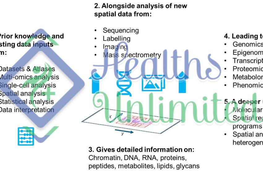 Sample Prep to Data Analysis: A Workflow Guide to Spatial Transcriptomics