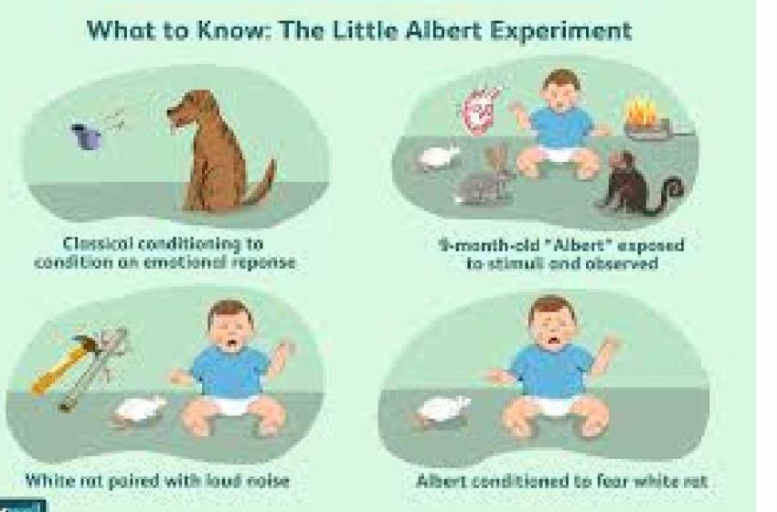  What Did Watson and Rosalie Rayner Demonstrate With Their Studies of Little Albert?